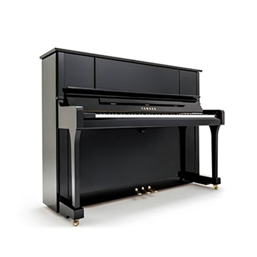 渝北专业赛乐尔钢琴专卖店