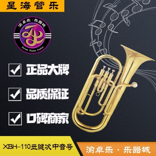 沧州星海西洋管乐器XBH-110立键次中音号扁键上低音号4扁键抱号