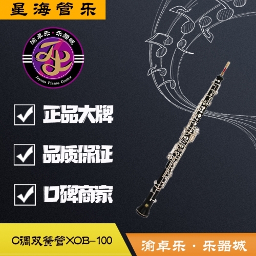 山南星海高音双簧管XOB-100B型号C调演奏学习高音双簧管