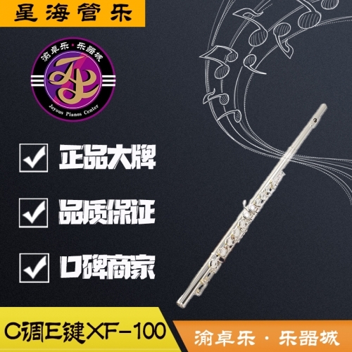 星海长笛儿童成人镀银长笛16孔C调带E键XF-100星海短笛