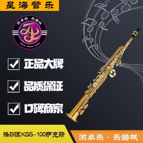 兴安盟星海管乐正品XSS-100型bB调高音萨克斯次中音萨克斯上低音萨克斯