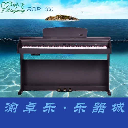 吟飞电钢琴RDP-100智能数码立式电子钢琴88键重锤成人家用